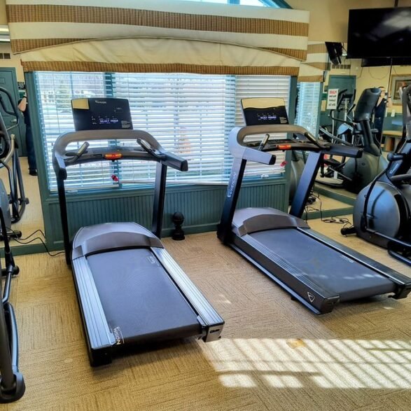 Project Consultation