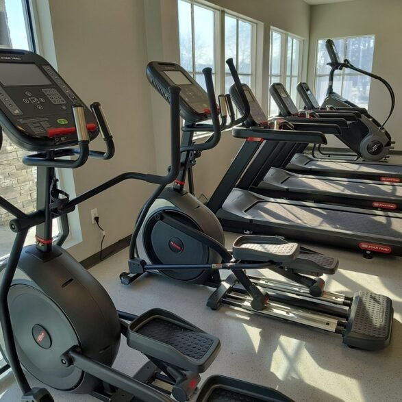 Project Consultation