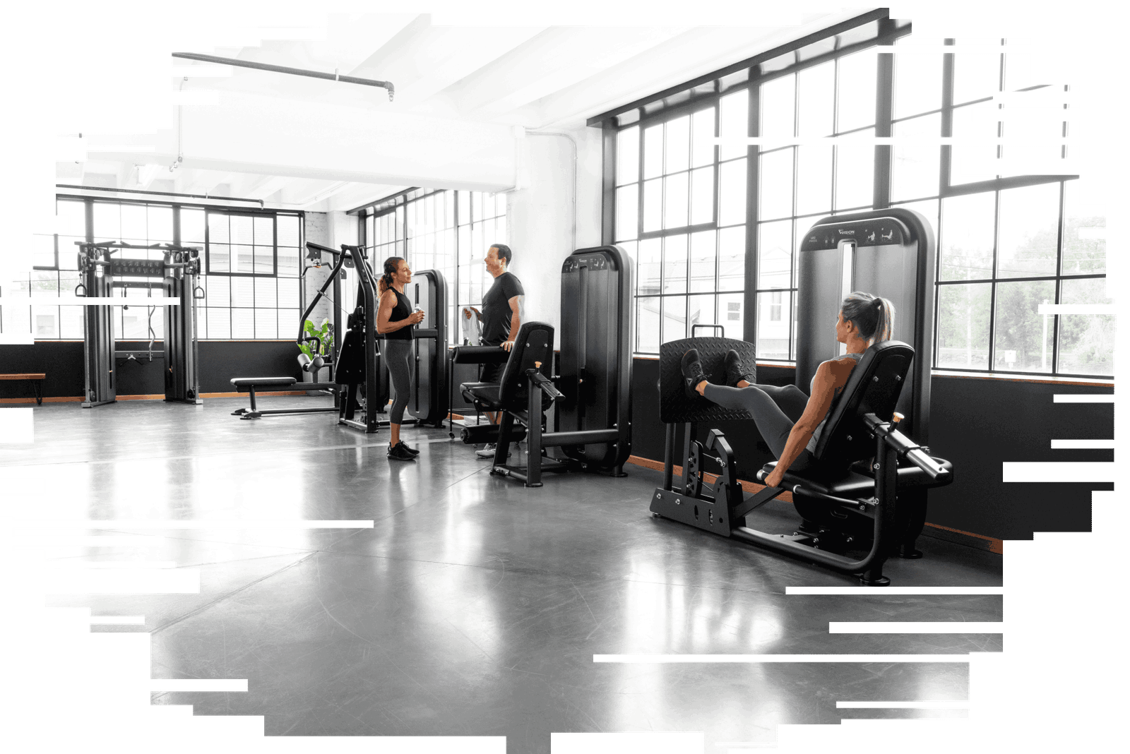 Vision Fitness models in room compressed